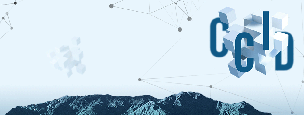 重磅丨赛迪发布《2024中国人工智能多模态大模型企业最具投资价值10强研究报告(图10)