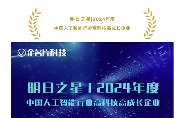 明日之星｜深言科技荣获2024年度中国人工智能行业高科技高成长企业(图2)