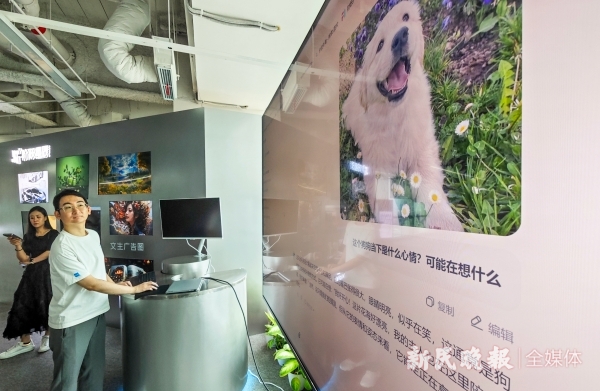 2024世界人工智能大会｜“百模大战”如何突围？这两家上海AI企业有自己的思考(图3)