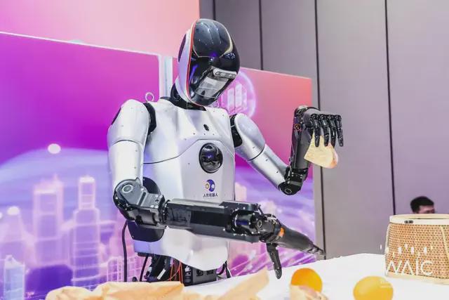 人工智能大会2024：开启人形机器人之战(图3)