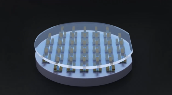 “中企这么做正让美国限制变得毫无意义”(图2)