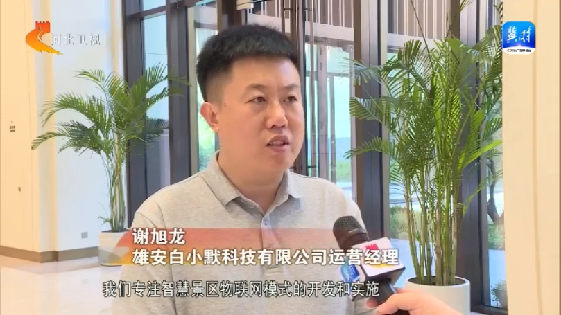 千企雄安行：2024雄安新区人工智能产业发展交流活动举办(图1)