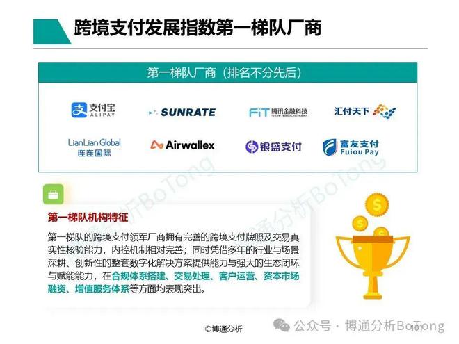 以AI和科技创新解锁全球支付新机遇空中云汇入选《非银跨境支付行业年度专题分析2024》案例(图1)