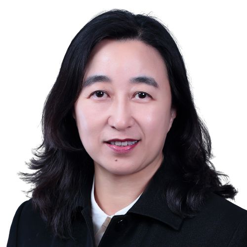 祝贺丨中国人工智能学会2024年度会士增选名单揭晓(图14)