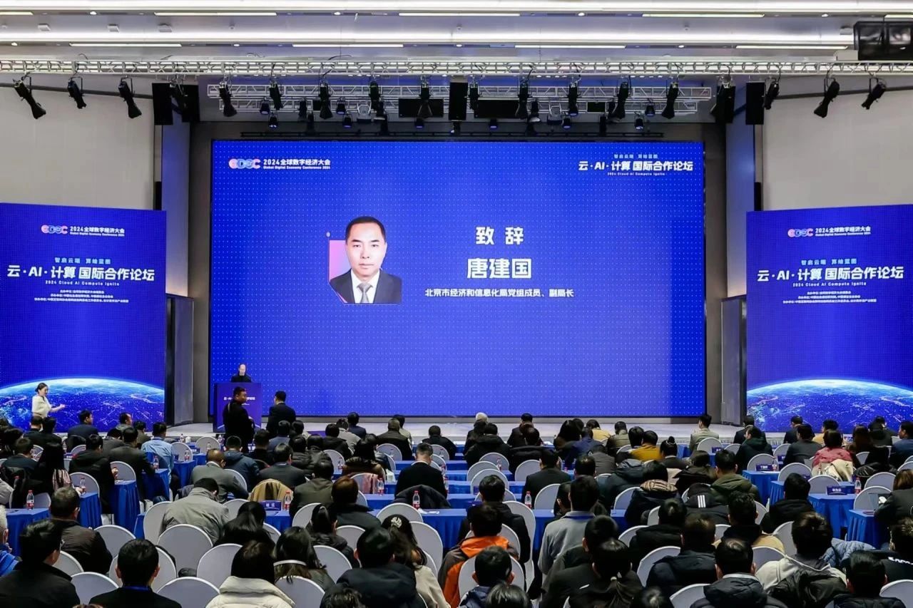 2024全球数字经济大会云·AI·计算国际合作论坛成功召开(图1)