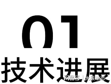 【密度科技】速览！2024年AI大模型发展年度总结(图2)