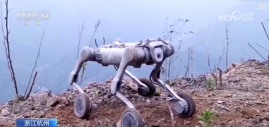 “智慧含量”UP！人工智能应用场景不断增多(图1)