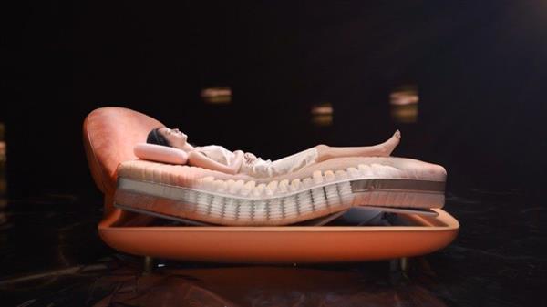 喜临门2024年报：“AI陪伴”引领智慧睡眠新赛道(图1)