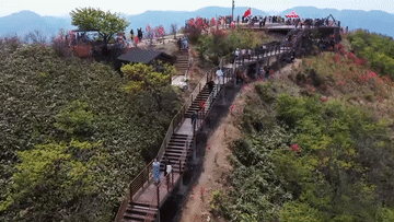 科技赋能优化供给持续激发消费活力(图6)