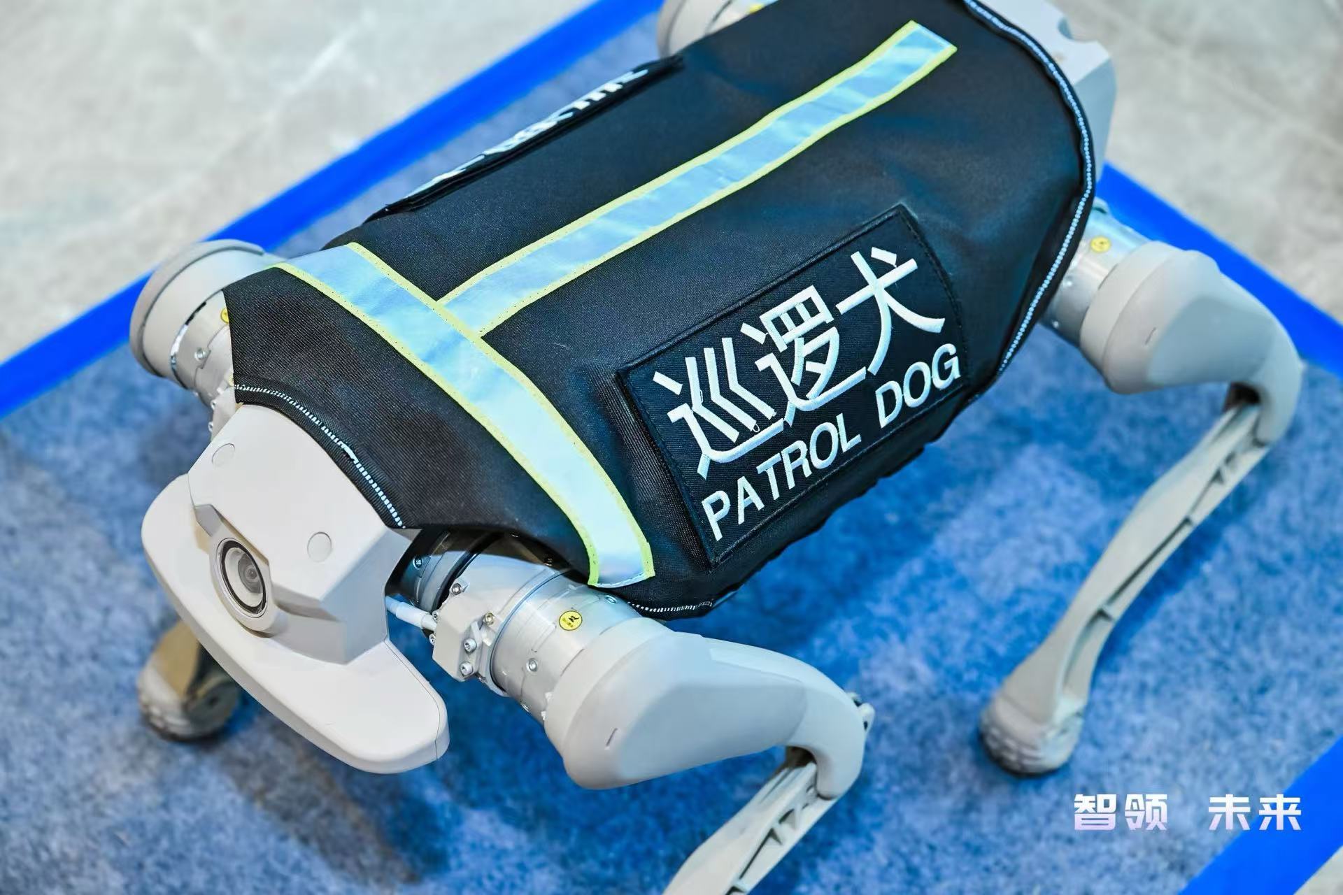 “头雁”担当珠海加速布局人工智能与机器人产业新赛道(图3)