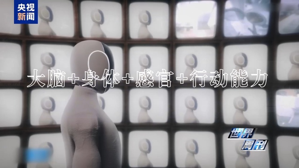 美国退休教授喜提AI伴侣人类未来的生活搭子：机器人？(图5)