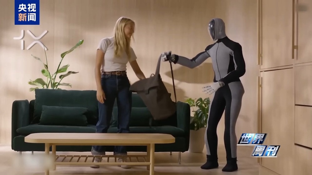 美国退休教授喜提AI伴侣人类未来的生活搭子：机器人？(图4)
