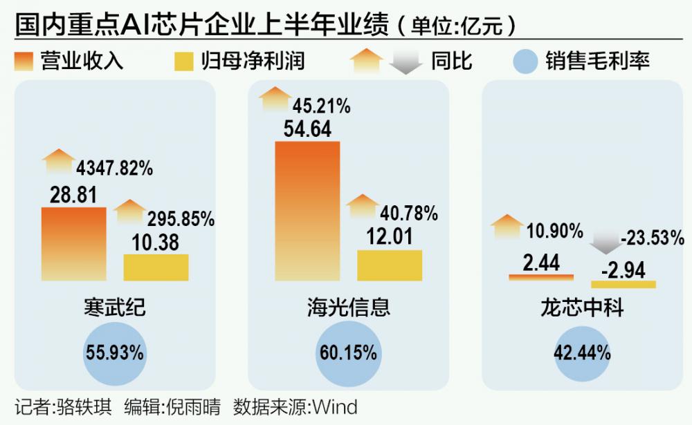 国产AI芯片蓄势与追赶(图1)