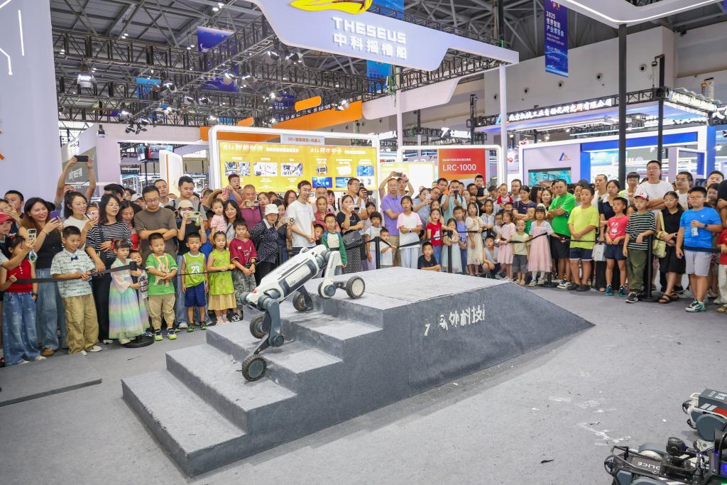 人性化、國際化、普惠化：智博會上的中國“智能新趨勢”(图2)