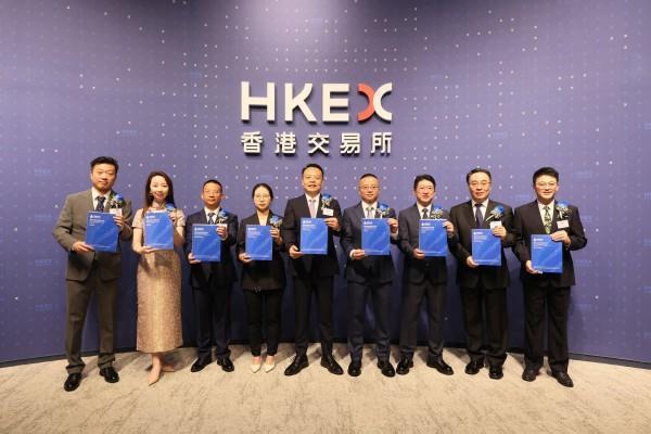 港股“企业级大模型AI应用第一股”滴普科技(图1)