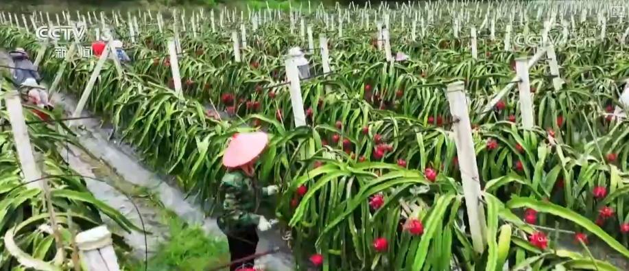 从政策到投资、从壮大新动能到“人工智能+”怎么干？多维度解读中央经济工作会议精神(图12)