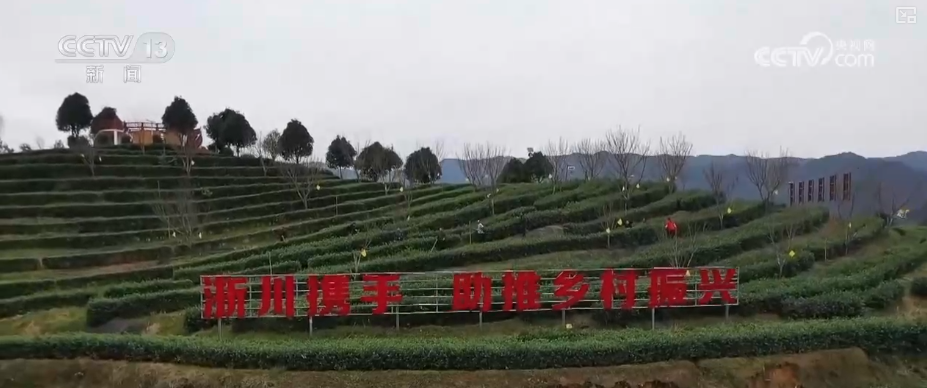 从政策到投资、从壮大新动能到“人工智能+”怎么干？多维度解读中央经济工作会议精神(图11)