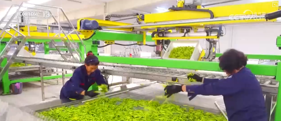 从政策到投资、从壮大新动能到“人工智能+”怎么干？多维度解读中央经济工作会议精神(图16)