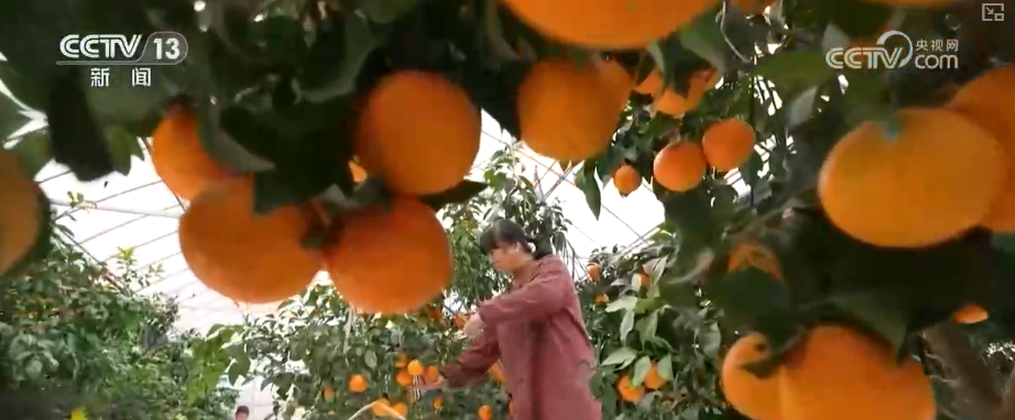 从政策到投资、从壮大新动能到“人工智能+”怎么干？多维度解读中央经济工作会议精神(图17)