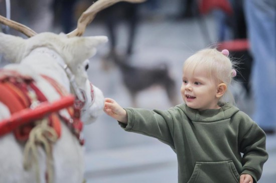 观天下丨俄年度热词聚焦“胜利”“人工智能”“拉布布”也上榜(图2)