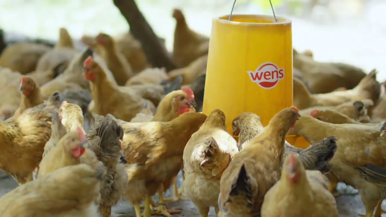 拥抱人工智能+农业温氏集团AI办公助手加速“上岗”(图1)