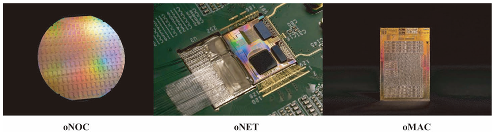 700亿全球AI硅光芯片第一股诞生！(图5)